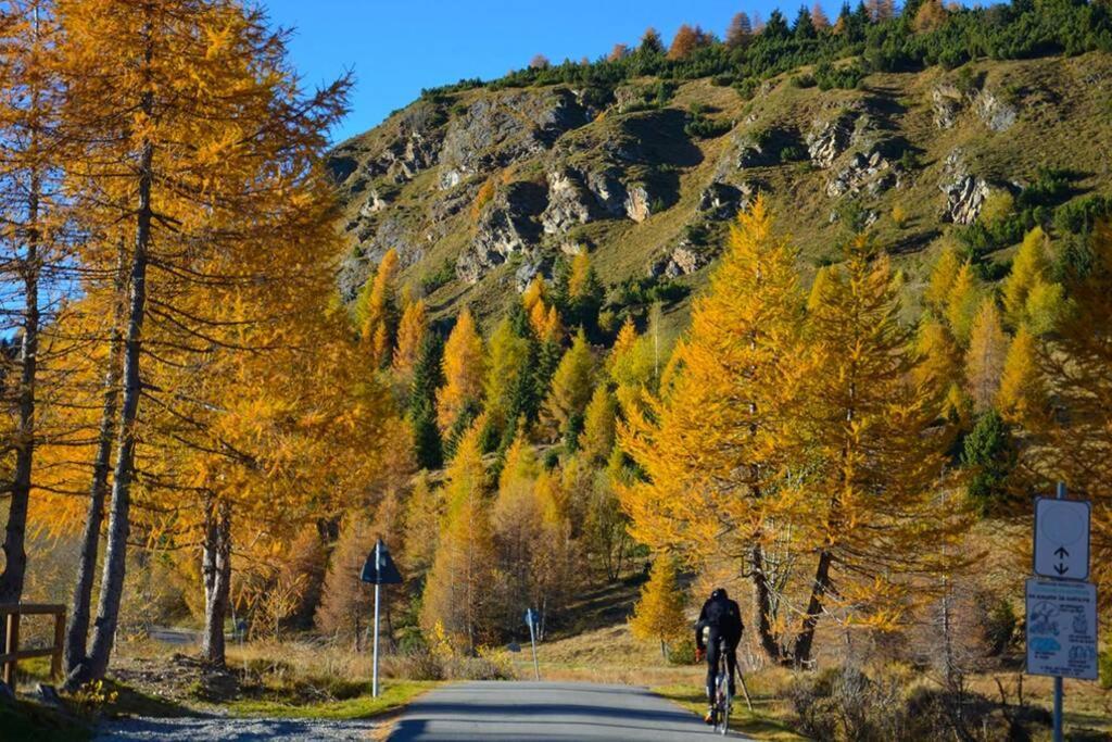 Vivi Sereno, Uno Stile Si Vita! Grosio Exteriér fotografie