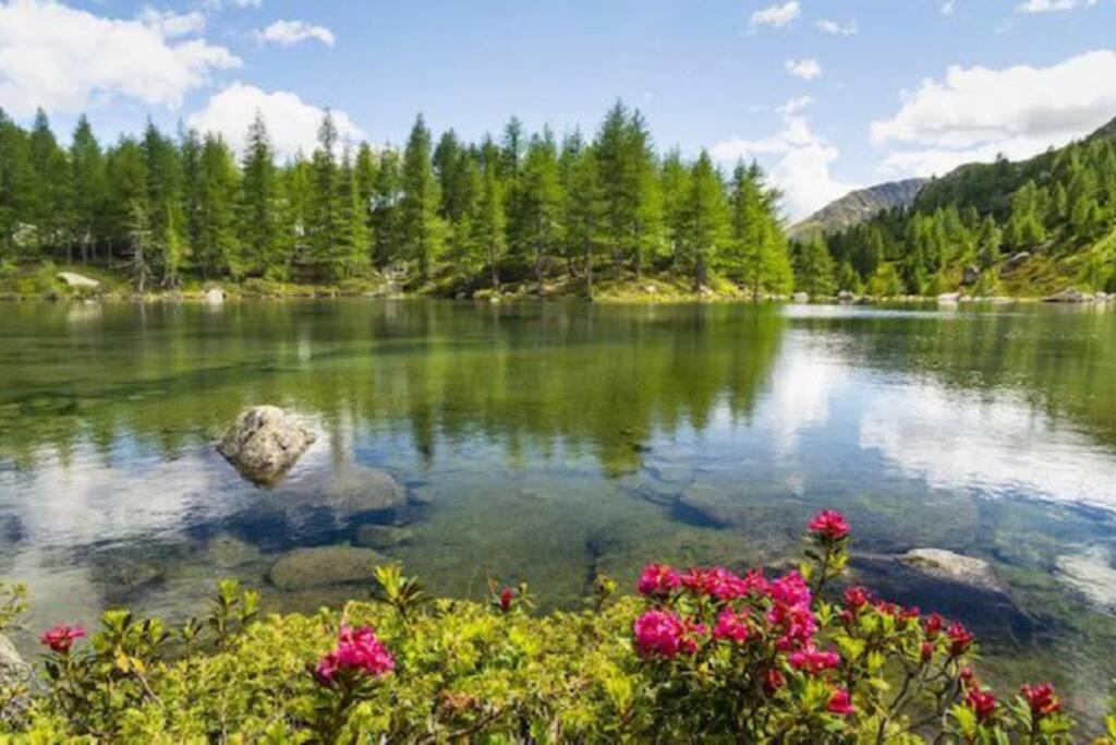 Vivi Sereno, Uno Stile Si Vita! Grosio Exteriér fotografie